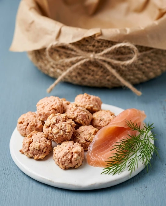 Crunchy Salmon Bites
