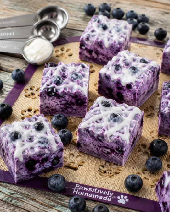 Frozen Blueberry Yogurt Squares