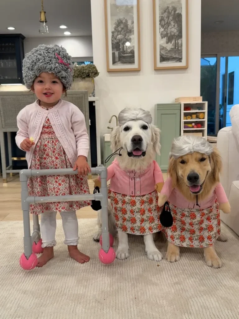 1. Grandma Chic Matching Costume Set with Toddler and Golden Retrievers in Floral Dresses
