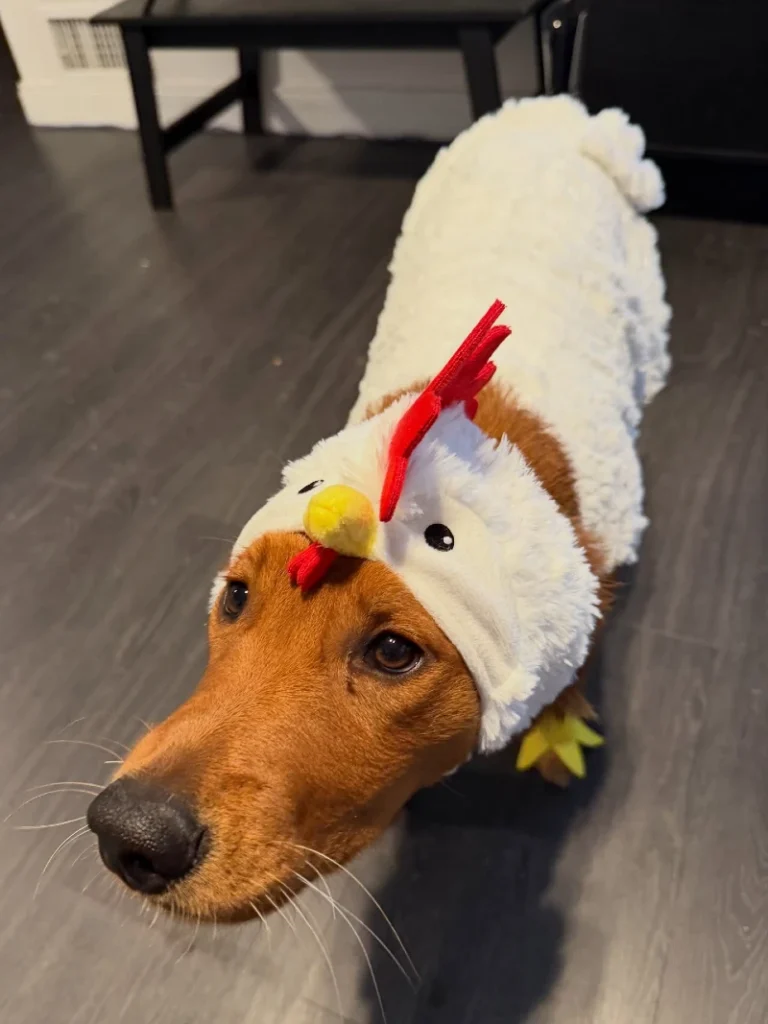 10. Plush Chicken Hood Costume