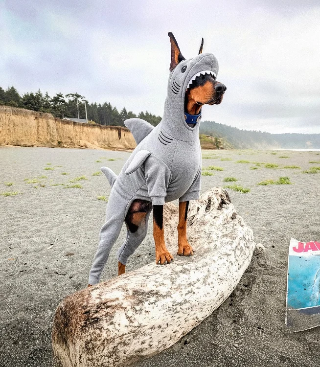 10. Shark Hood Full-Body Costume on Doberman with βJawsβ Beach Prop Scene