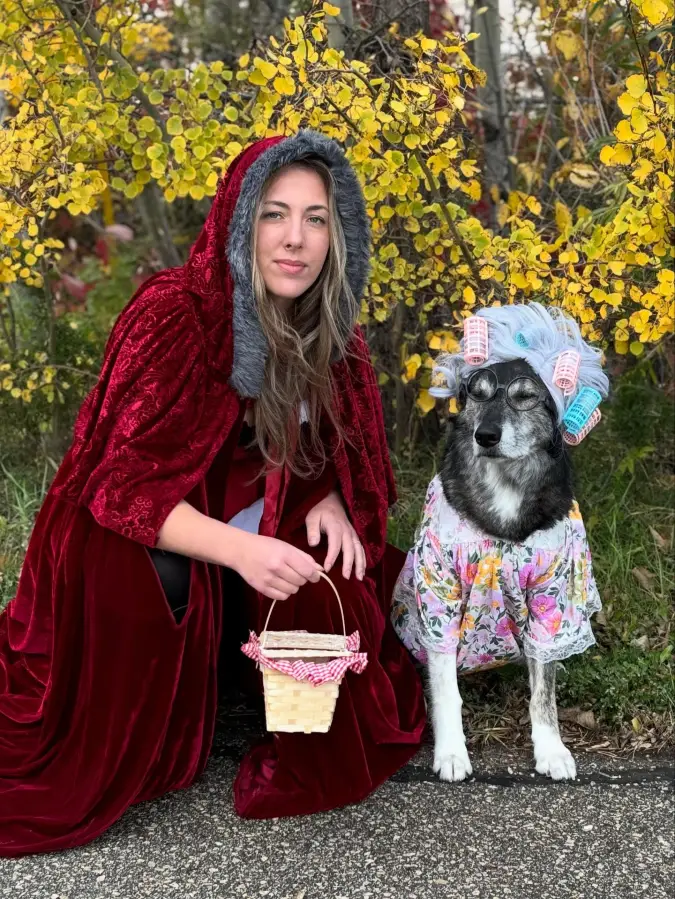 12. Red Velvet Hooded Cape and Floral Grandmother Nightgown on a Wolf-Like Dog