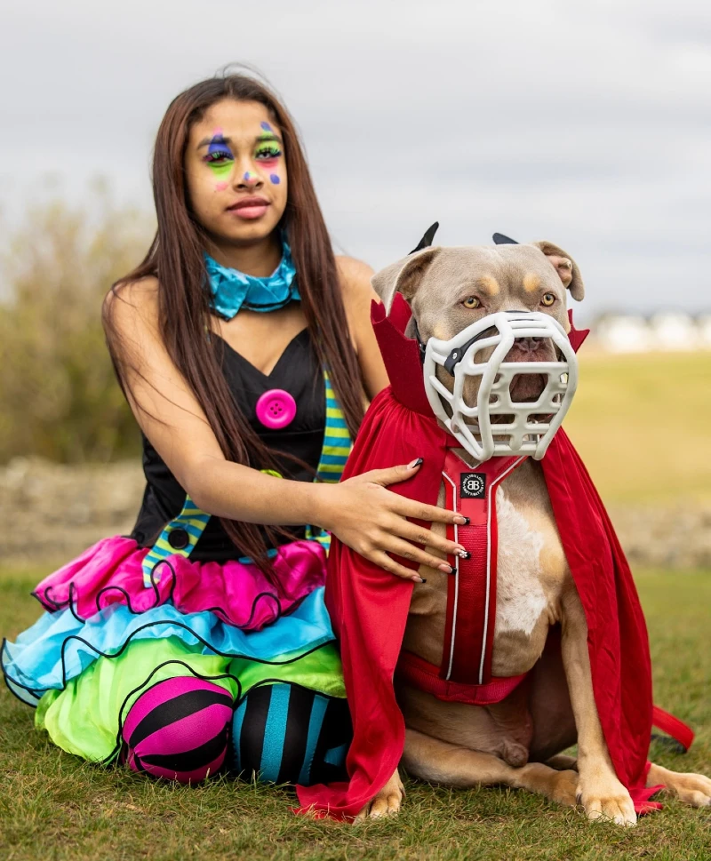 13. Circus-Inspired Color Pop Styling with Superhero Muzzle Costume on a Dog
