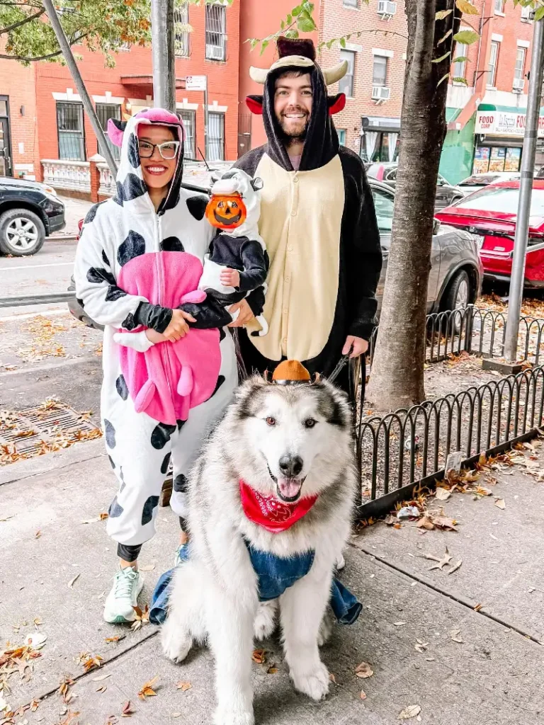 13. Farmyard Cow Onesie, Bull Costume Dad Look, and Pumpkin Baby Bucket Family Trio