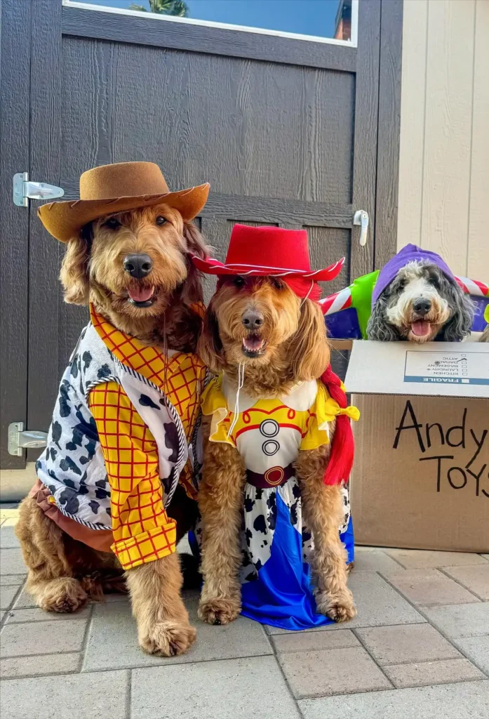 13. Toy Story Group Costume with Woody, Jessie, and Buzz Box