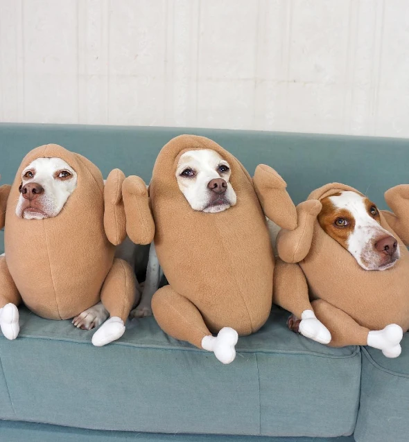 13. Triple Roasted Turkey Body Suits on Three Dogs Sitting Side by Side on a Sofa