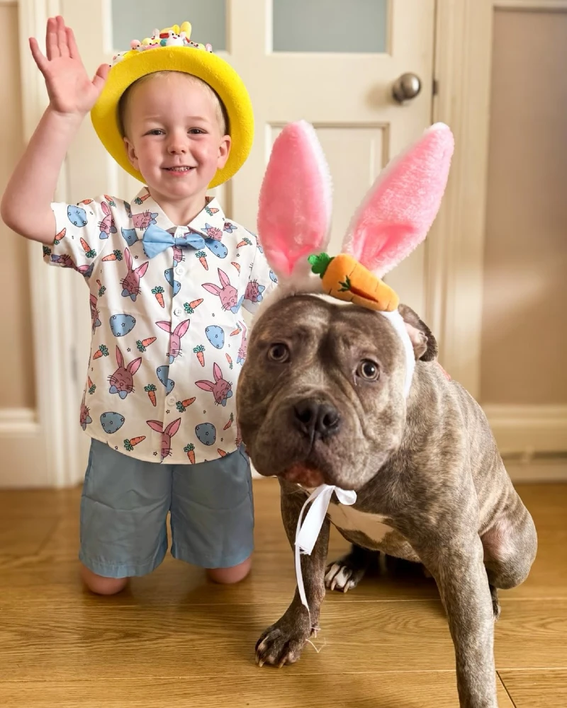 14. Bunny Ear Easter Duo with Carrot Headband Dog and Matching Pastel Shirt Kid Indoors