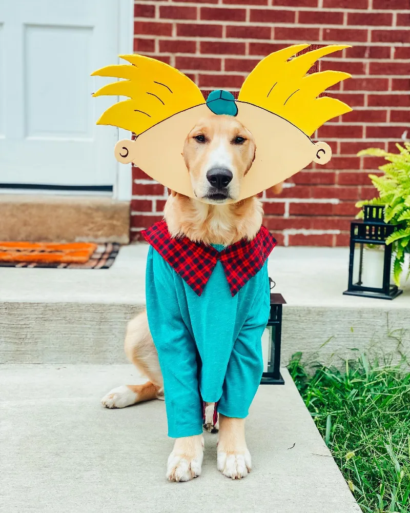 14. Cartoon Character Headpiece Costume with Teal Outfit