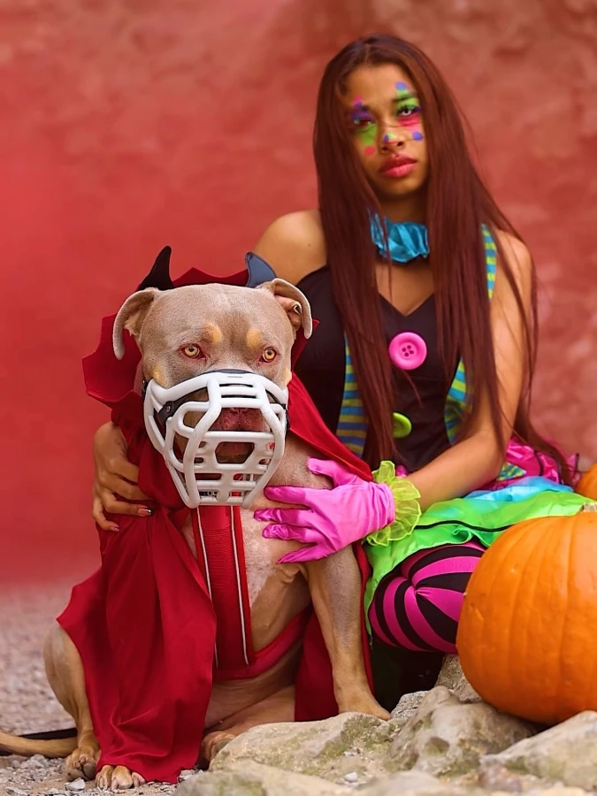 14. Red Cape and White Muzzle on a Tan Bully Breed