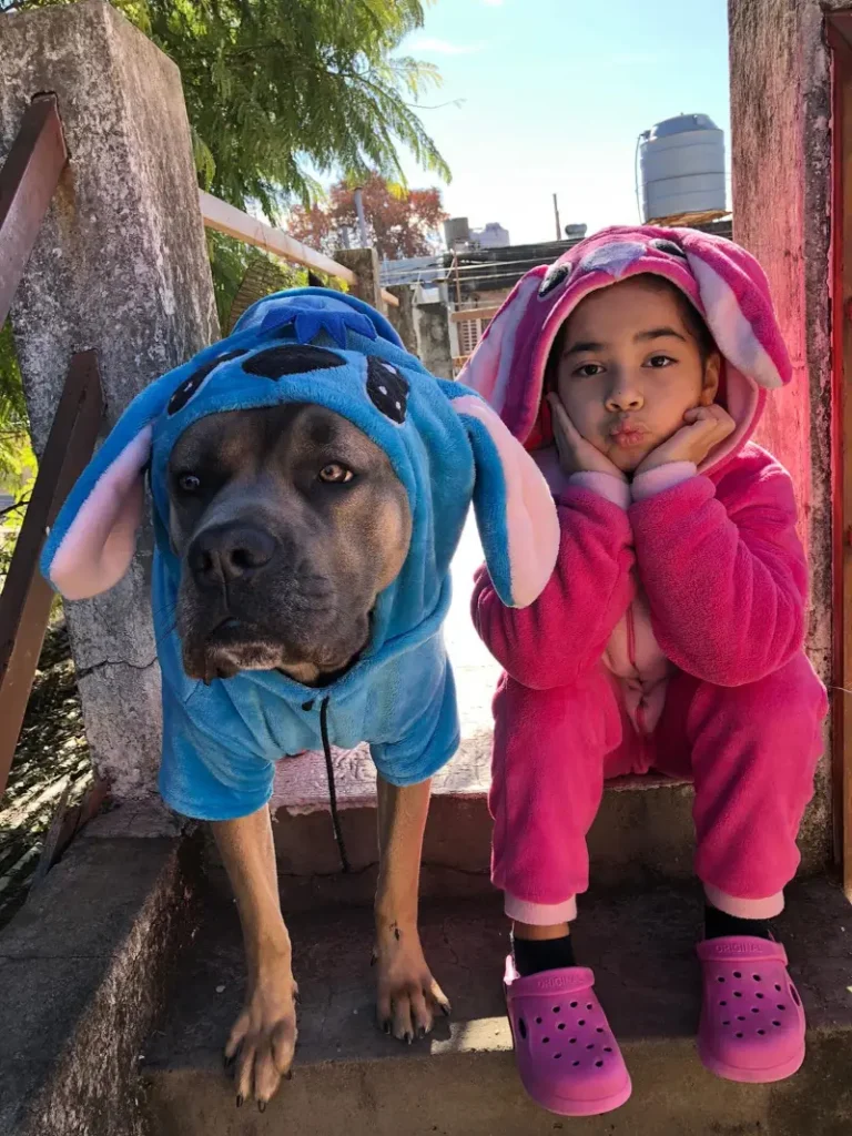 15. Blue and Pink Bunny Onesie Duo with Kid and Dog on Outdoor Steps in Sunlight