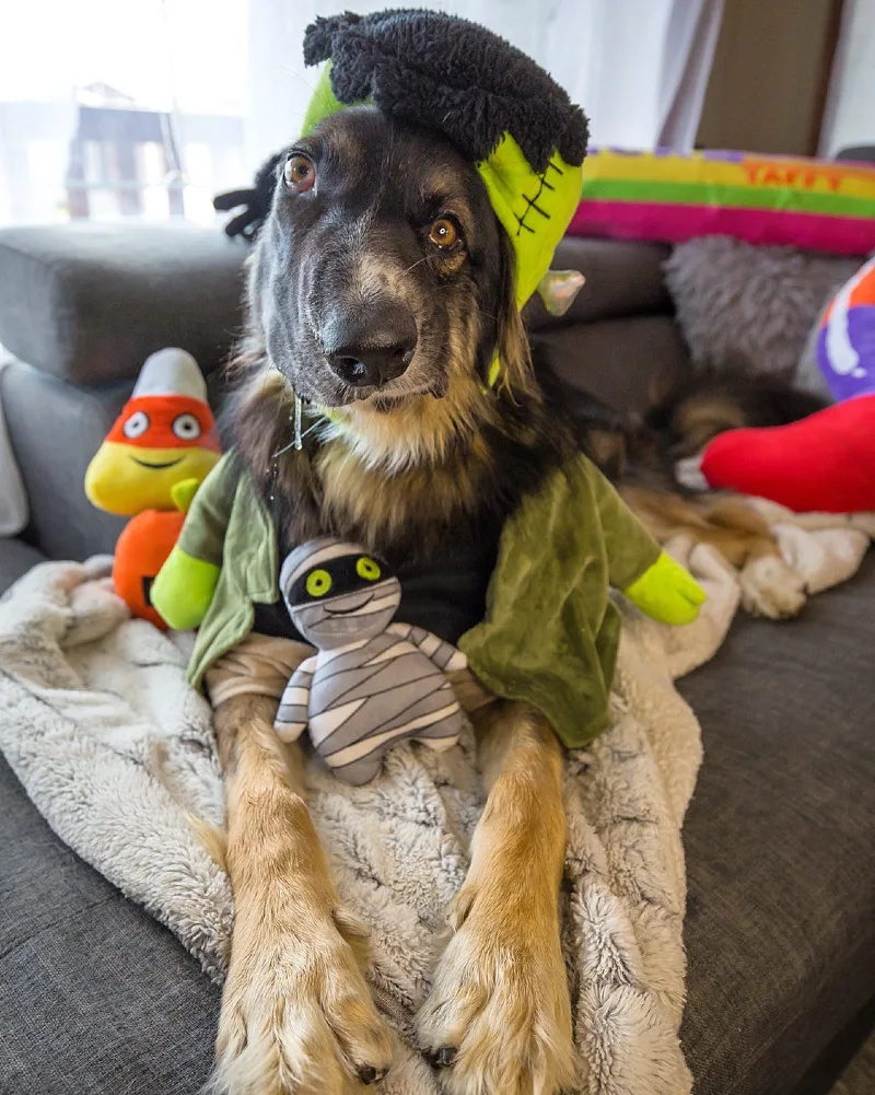 15. Frankenstein Baby Monster Costume with Plush Headpiece