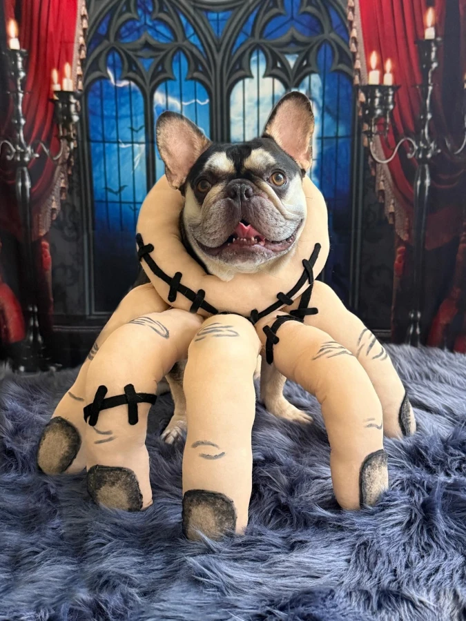 15. Giant Stitched Monster Hand on a French Bulldog