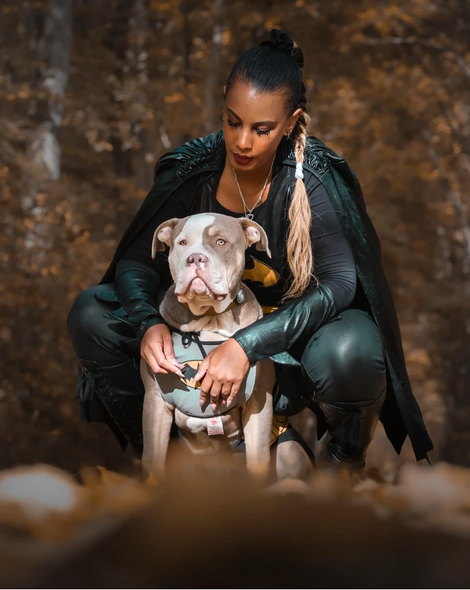 15. Grey Superhero Dog Harness and Sleek Black Cape on a Muscular Bully