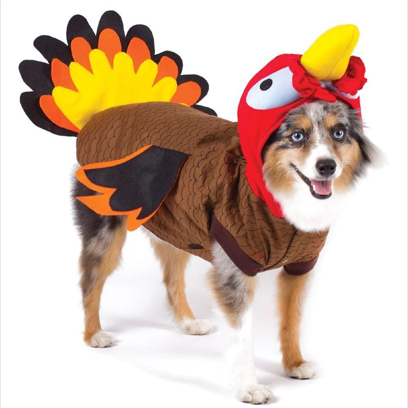 16. Feathered Turkey Tail Suit with Red Hood Headpiece