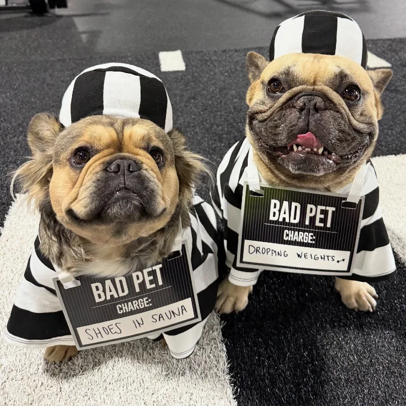 16. Jail Prisoner βBad Petβ Costume Duo with Black and White Stripes on Two French Bulldogs