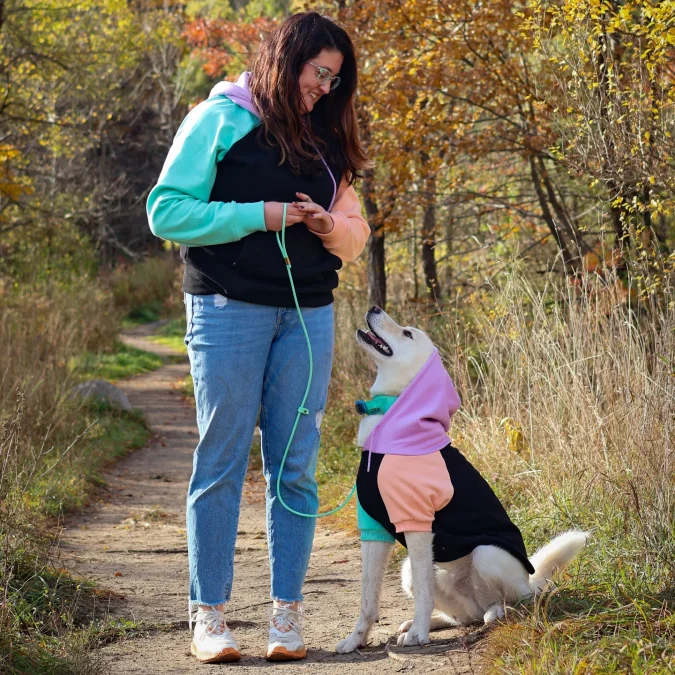 16. Pastel Color-Blocked Hoodies on a Fluffy White Dog