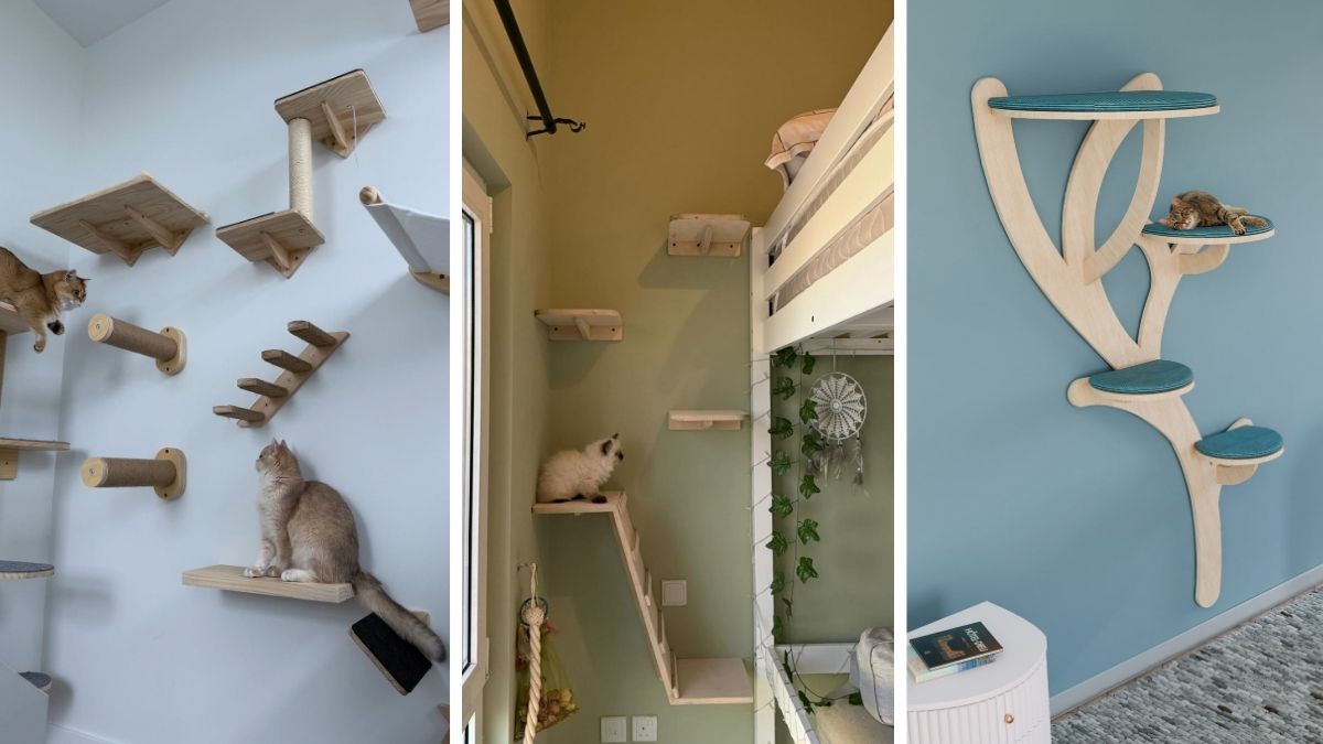 17 Cat Wall Shelf Ideas That Turn Walls Into Playgrounds