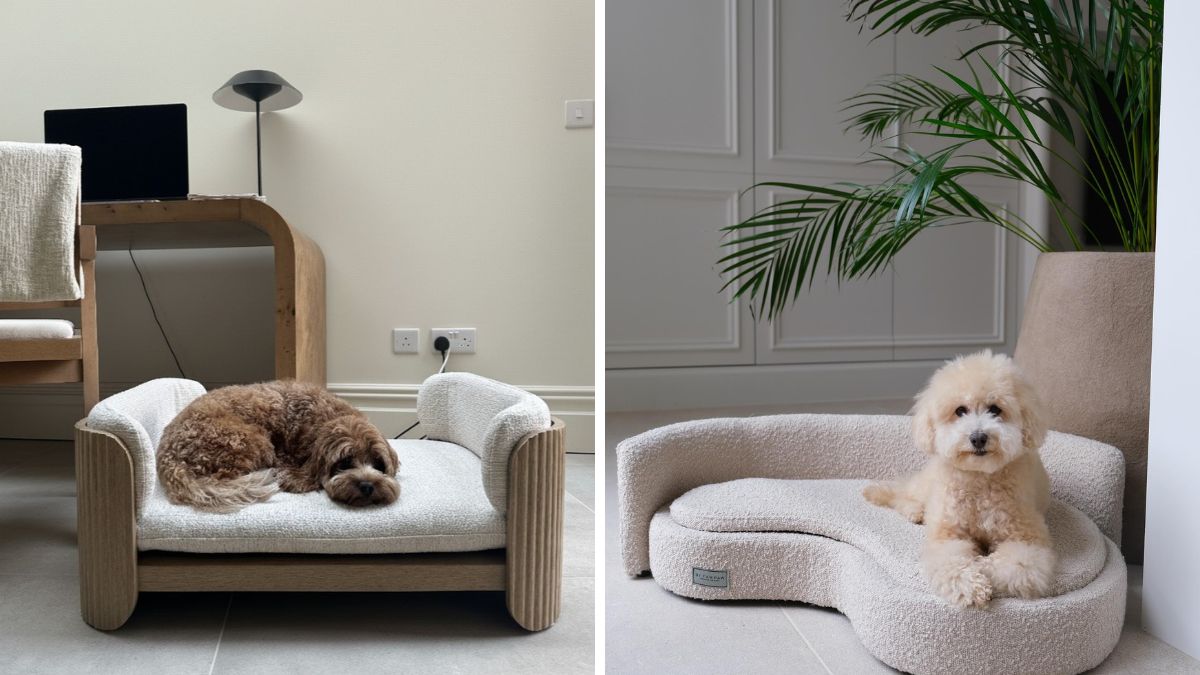17-Dog-Bed-Ideas-for-Small-Spaces-and-Tight-Apartments.j