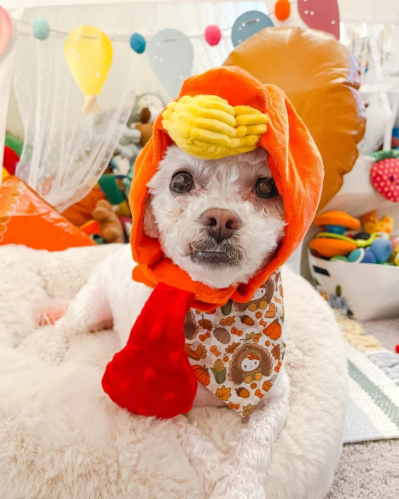 17. Festive Turkey Hood Costume with Patterned Bandana