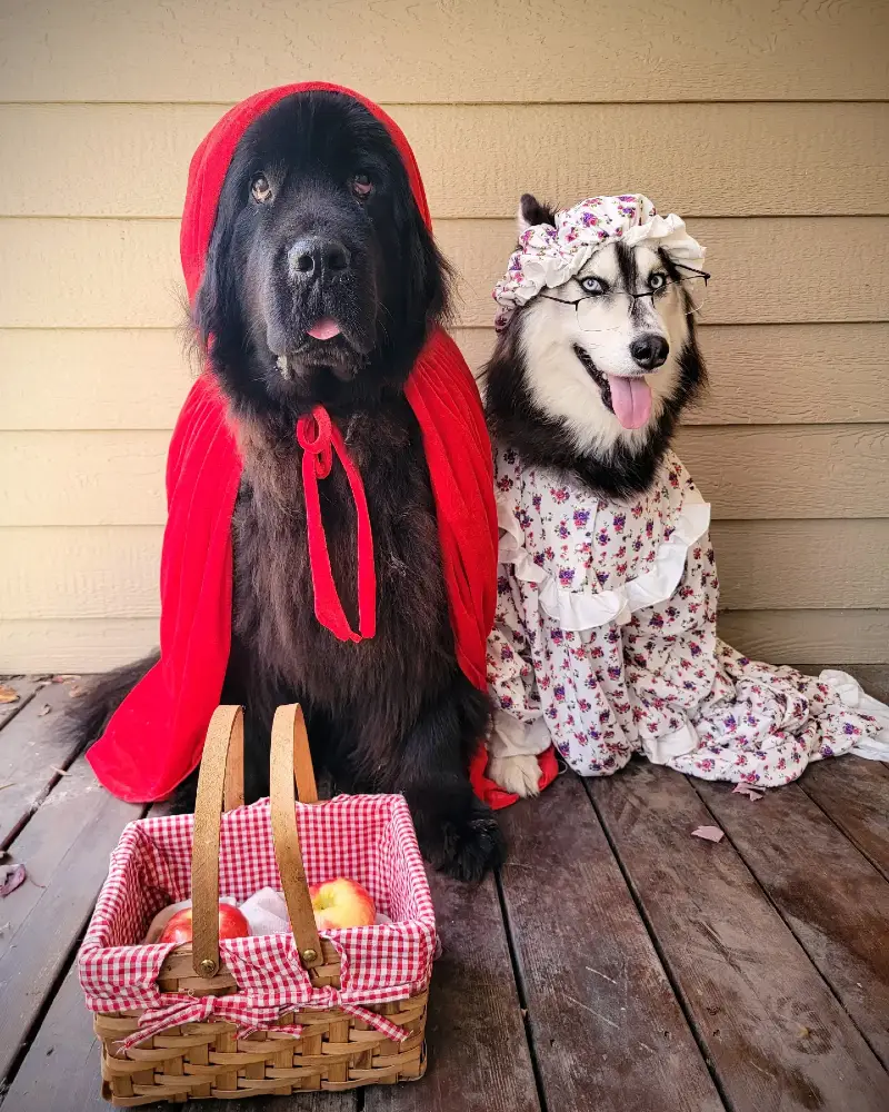 17. Little Red Riding Hood Cape and Floral Bonnet βGrandma Wolfβ Duo Costume