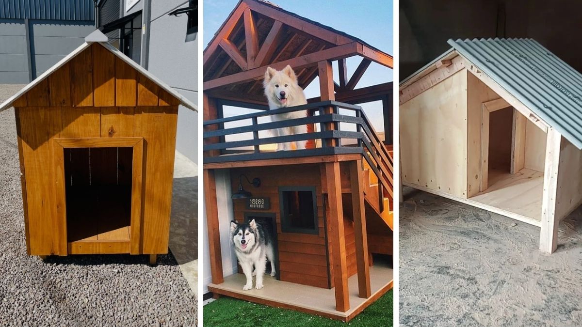 18 DIY Dog House Ideas You Can Build This Weekend