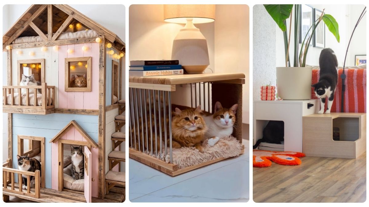 18 Indoor Cat House Ideas Built From Cardboard to Custom