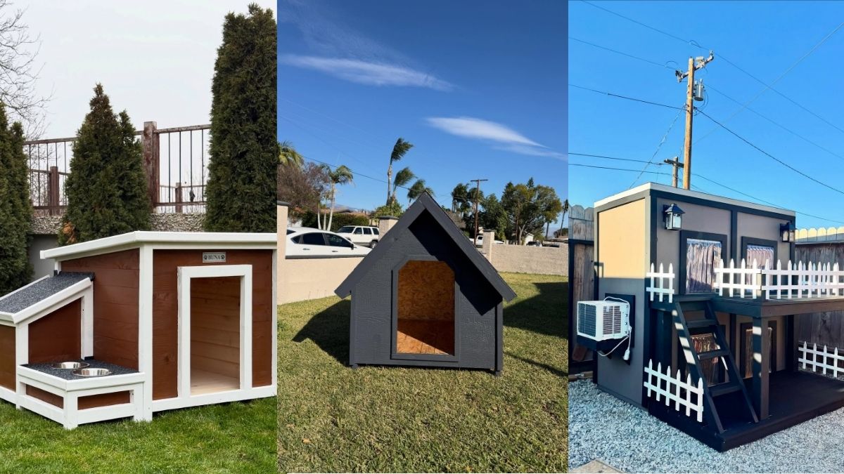 18 Outdoor Dog House Ideas Built for Real Weather