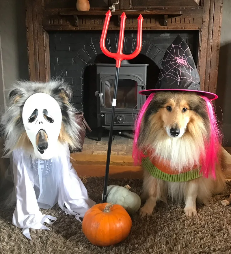 18. Ghost Sheet Costume with Masked Face and Witch Hat Pink Wig Outfit Duo