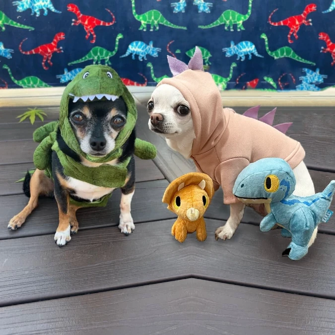 18. Green Reptilian Hood and Pink Dinosaur Sweater on Two Chihuahuas