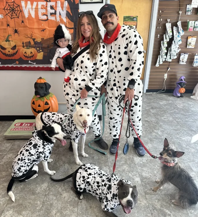 18. Matching Dalmatian Spot Onesies on a Large Mixed Dog Pack