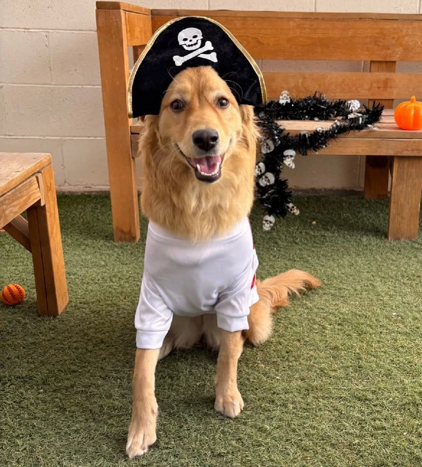 18. Pirate Captain Hat with Simple Sailor Shirt