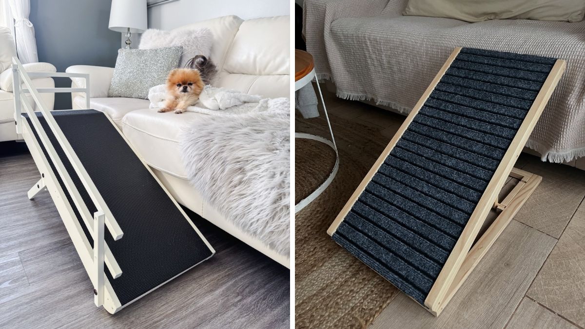 19 Dog Ramp Ideas for High Beds and Older Dogs