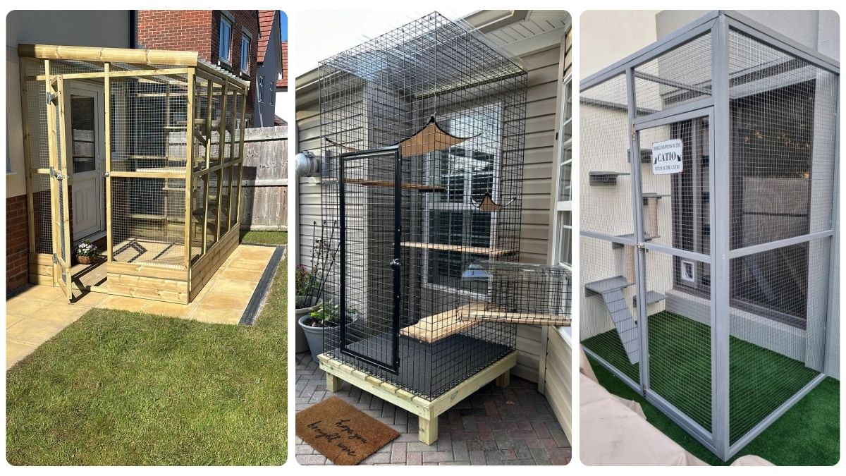 19 Outdoor Cat House Ideas for Strays and Outdoor Cats