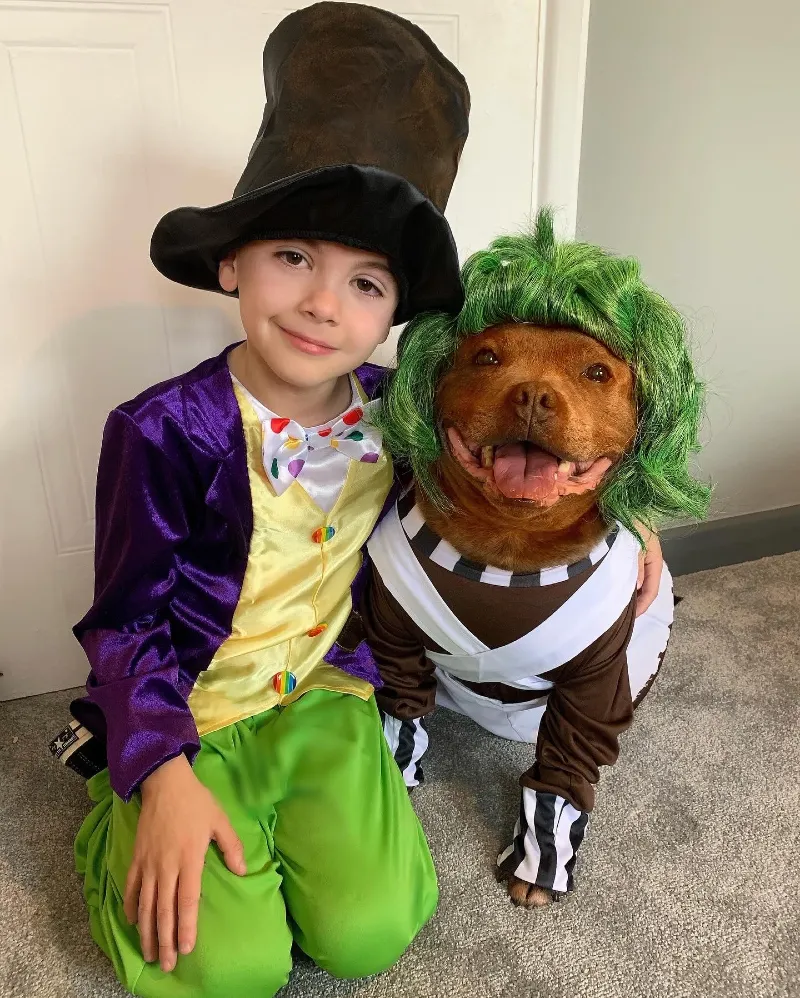 2. Whimsical Chocolate Factory Duo with Kid in Top Hat and Dog in Green Wig