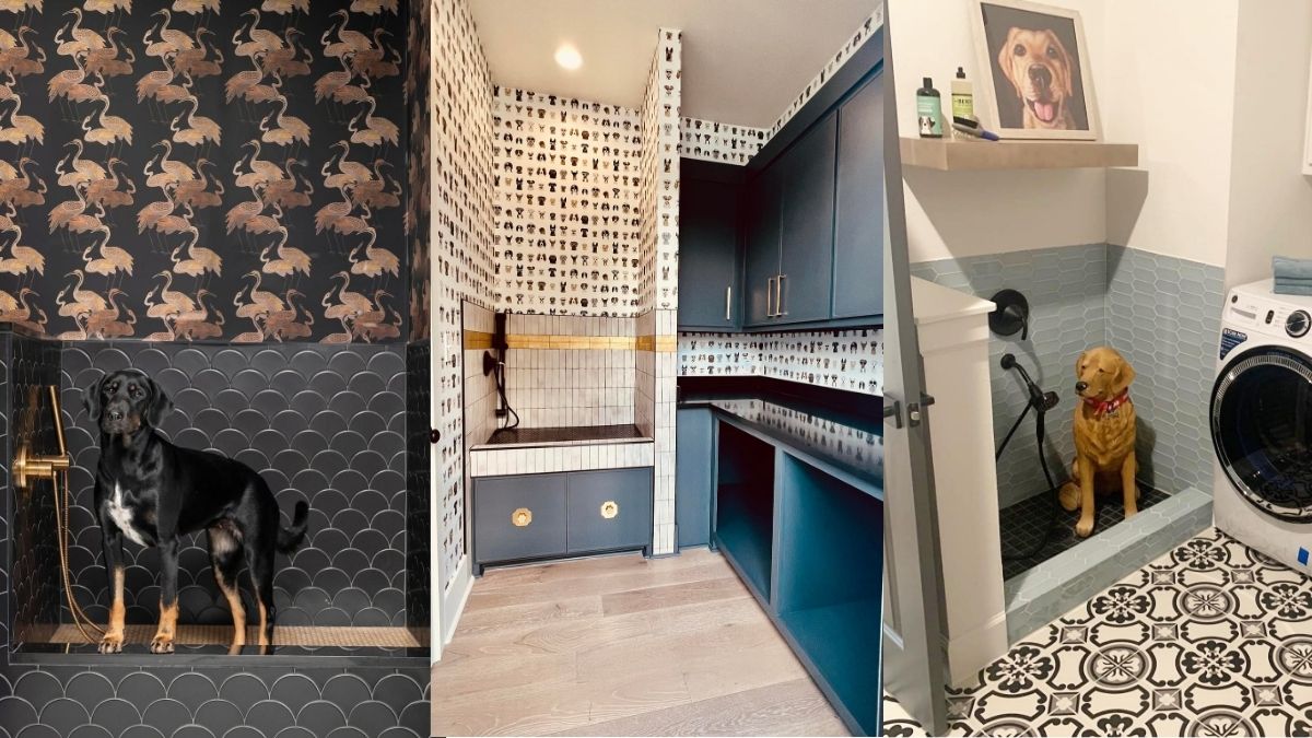 20 Dog Washing Area Ideas From Bathroom Nook to Garage