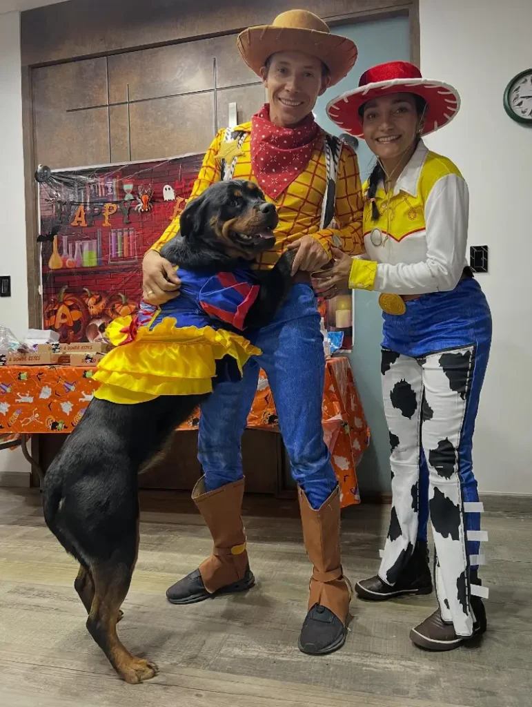 20. Woody, Jessie, and Bull Terrier Cowboy Trio Costume