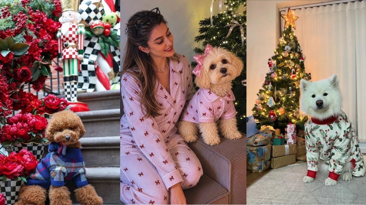 22 Dog Christmas Pajamas That Fit Real Dog Bodies