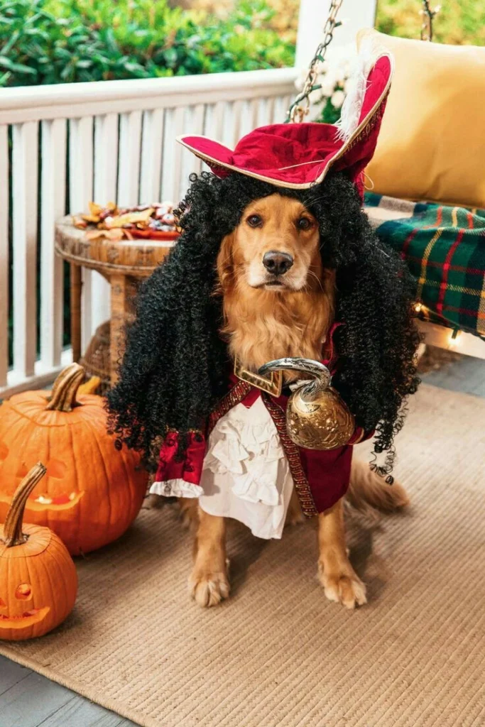 3. Captain Hook Pirate with Curly Wig and Gold Hook