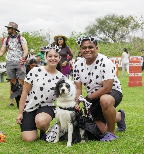 3. Dalmatian Spot Couple Shirts with Ruffled Black and White Dog Dress