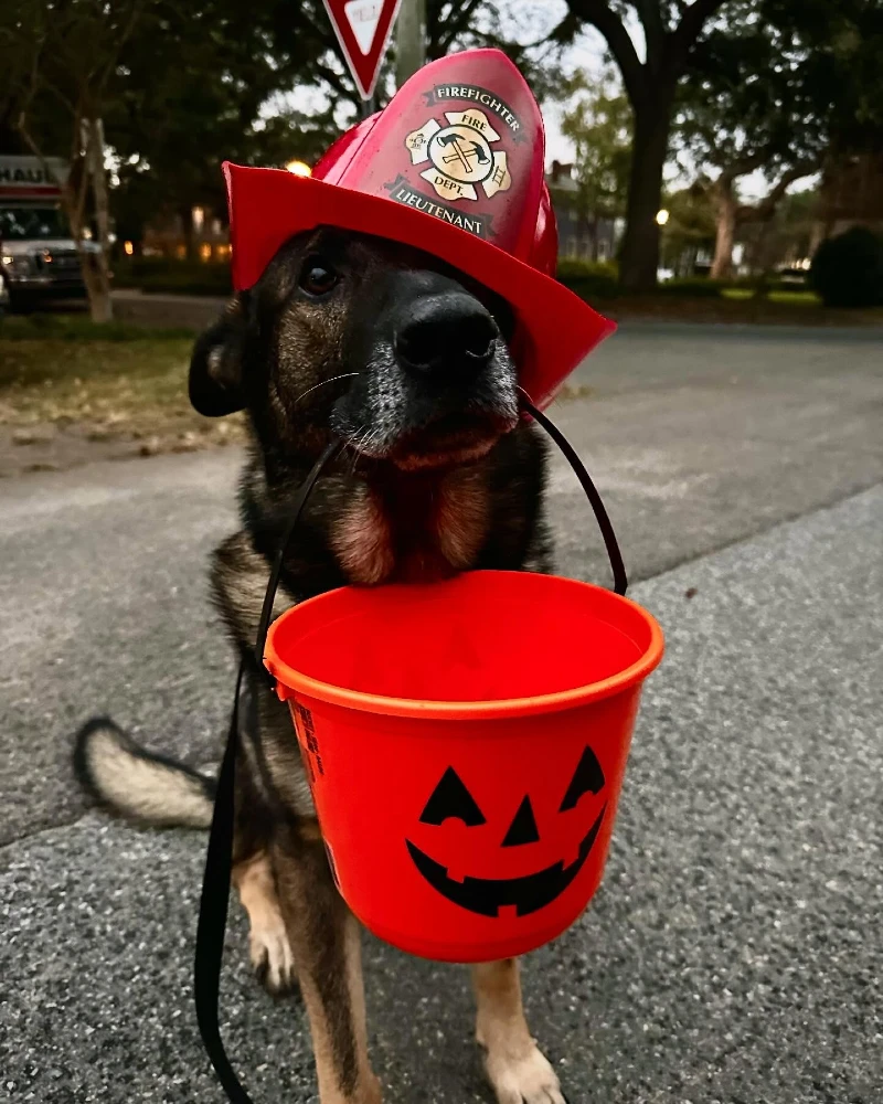 4. Firefighter Helmet Costume with Pumpkin Trick-or-Treat Bucket
