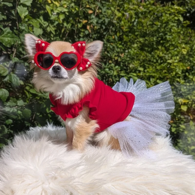 4. Heart Shaped Sunglasses Chihuahua in Red Ruffle Outfit with Tutu Outdoors