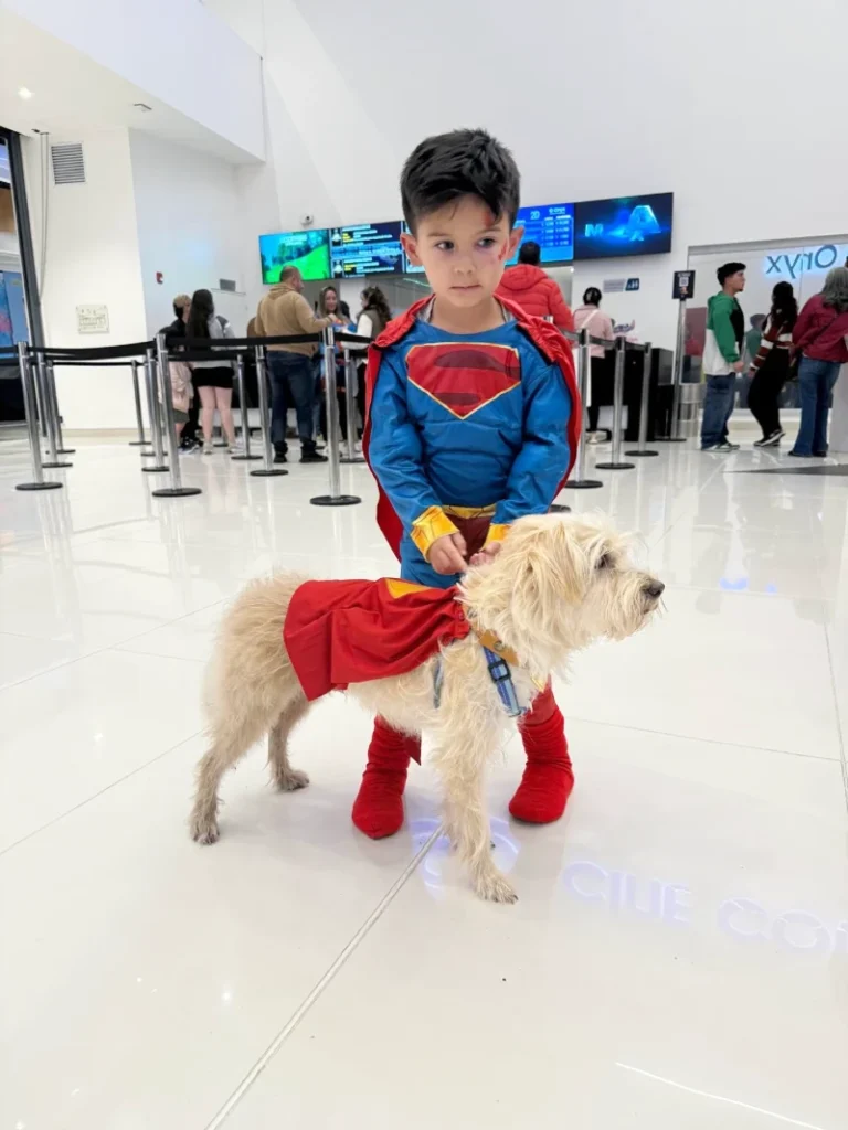 4. Mini Superman Duo with Caped Dog in Bright Airport Terminal Scene