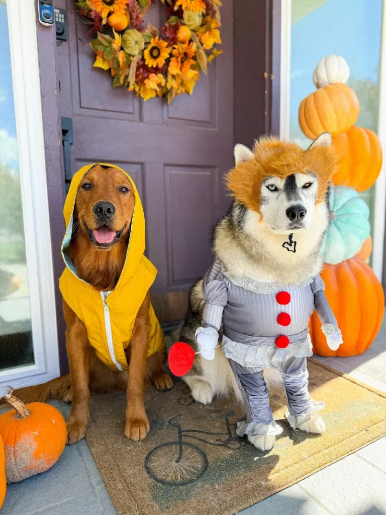 5. Hooded Raincoat Costume and Clown-Inspired Character Outfit