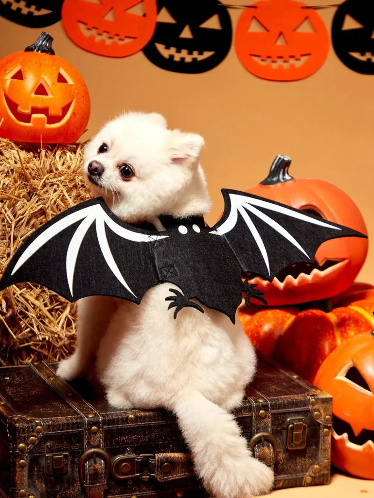 5. Tiny Bat Wings with Pumpkin Party Backdrop