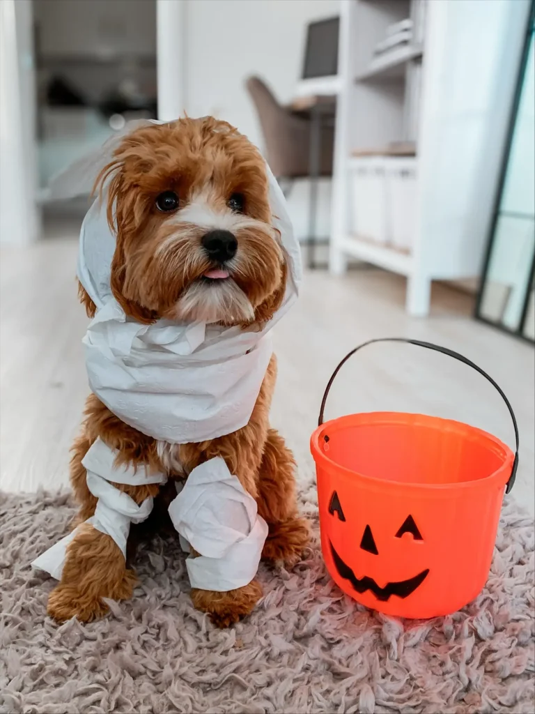 6. Playful Toilet Paper Mummy with Glowing Candy Pail