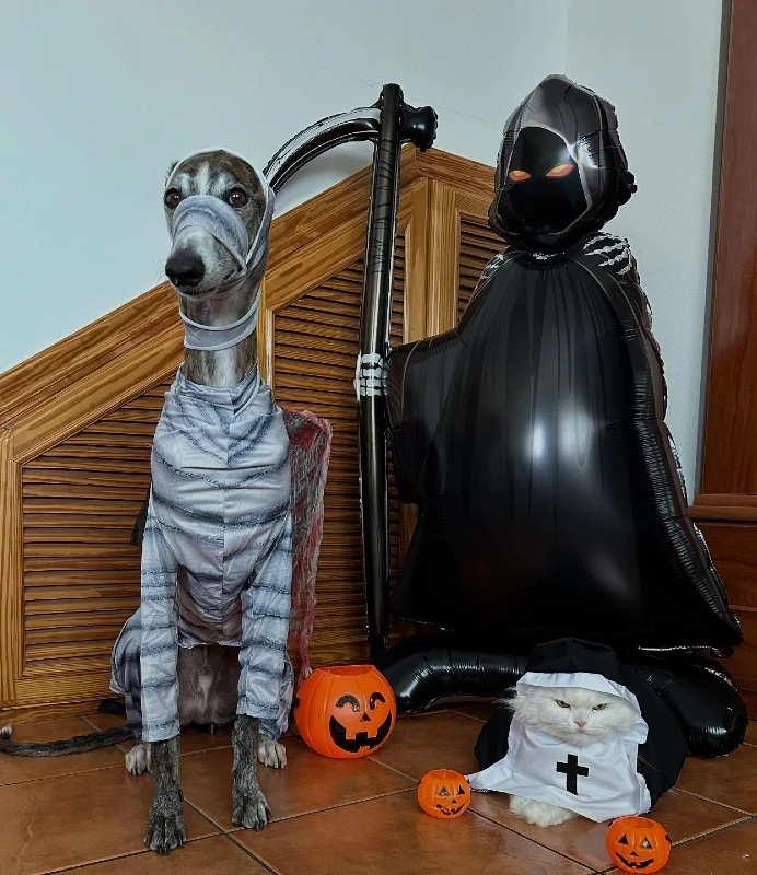 7. Mummy Wrap Greyhound, Grim Reaper Inflatable Costume