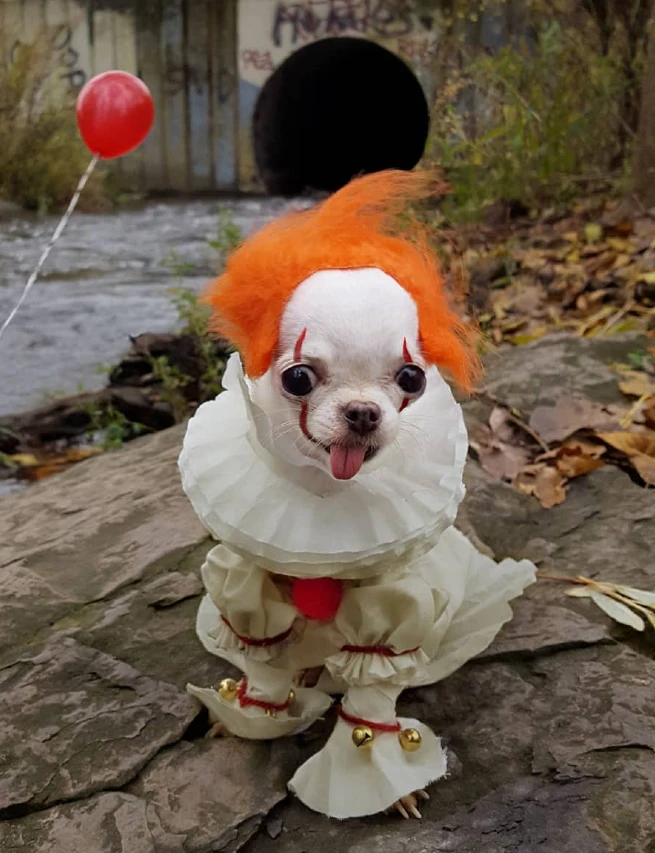 7. Pennywise-inspired clown wig and Ruffled Costume