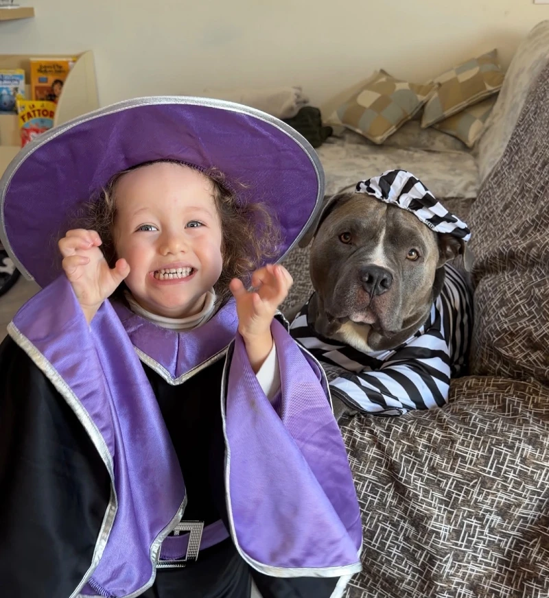 7. Purple Wizard Cape Costume with Matching Prisoner Stripe Dog Duo in Cozy Indoor Scene