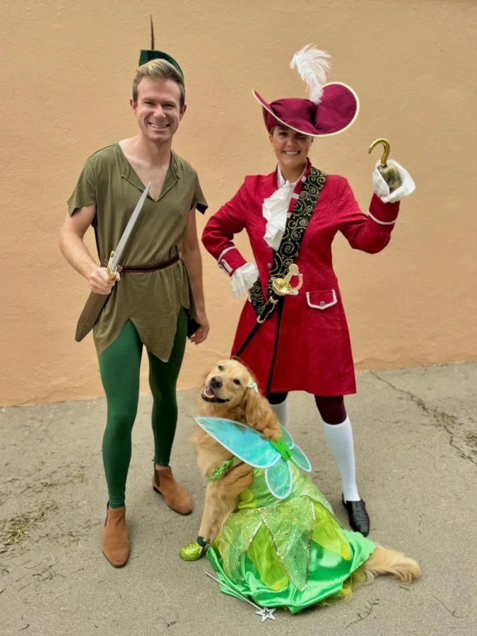 7. Sparkly Green Fairy Dress with Wings on a Golden Retriever