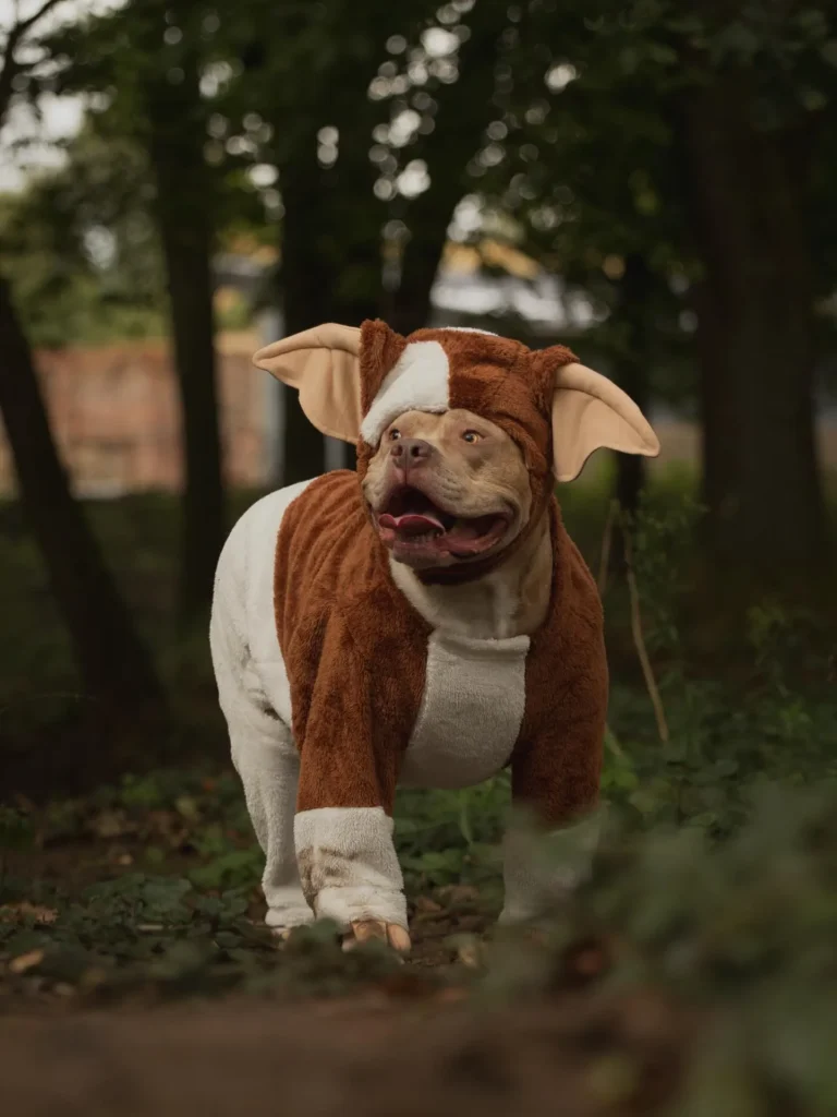 8. Plush Brown Puppy Suit with Oversized Floppy Ears